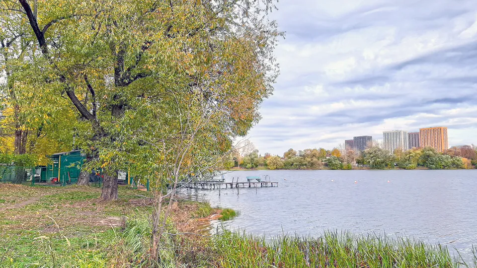 Фото: REGIONS/Дмитрий Кравцов