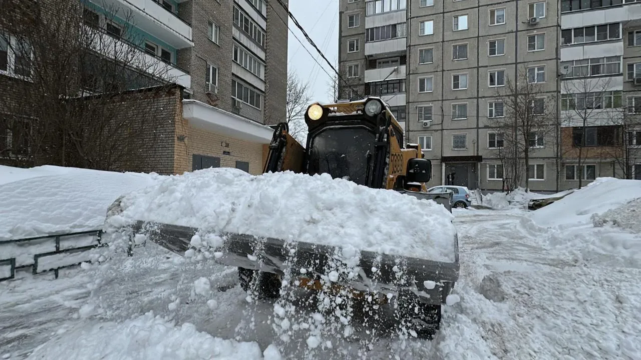 REGIONS/Кристина Тришина