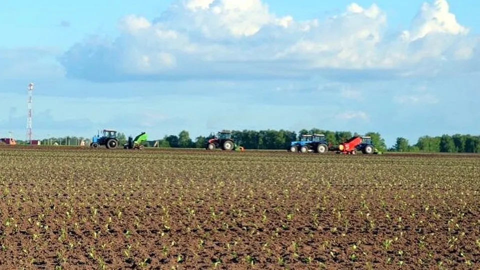 Фото: Агрохолдинг «ОСП агро»