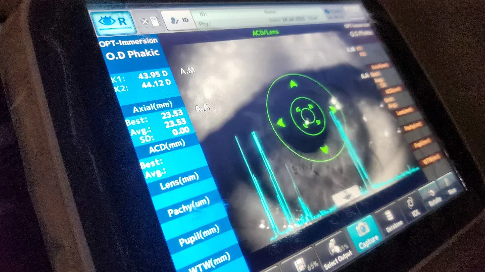 Фото: Мария Андрюхина