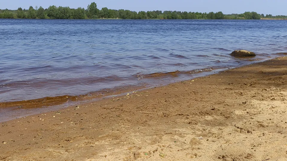 Фото: МедиаБанк Подмосковья/Полина Пахомова