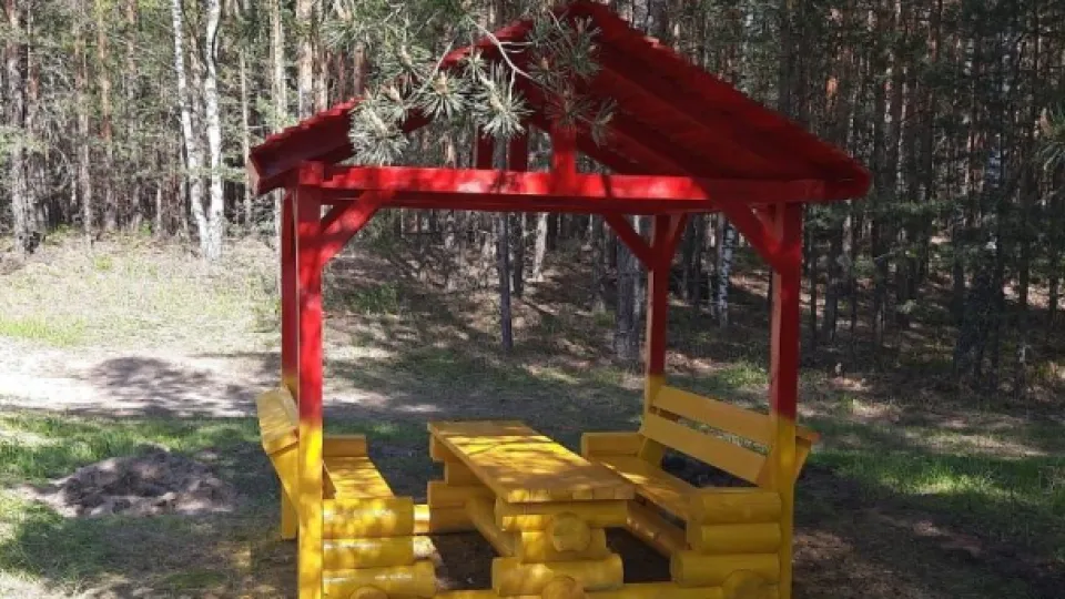 Фото: Комитет лесного хозяйства Московской области