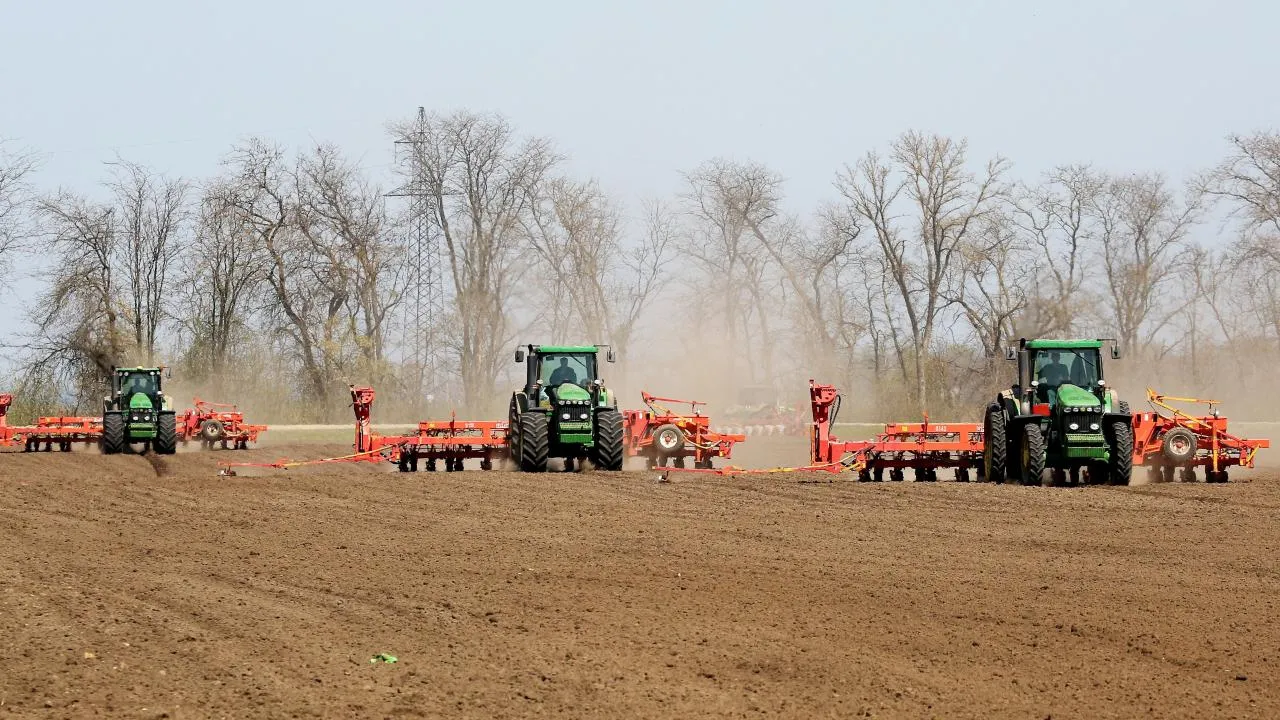 РИА Новости/Виталий Тимкив
