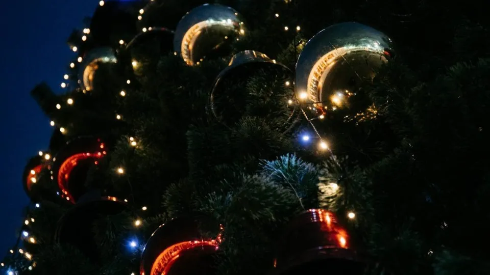 Фото: администрация м.о. Чехов