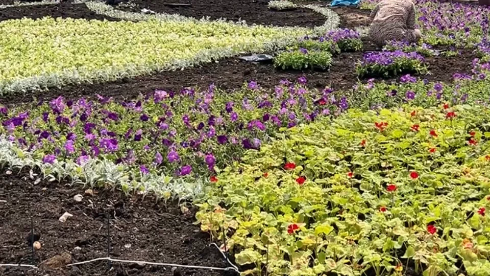 Фото: МедиаБанк Подмосковья/Валерия Ерофеева