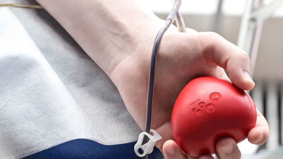 Фото: REGIONS/Наталия Надточая