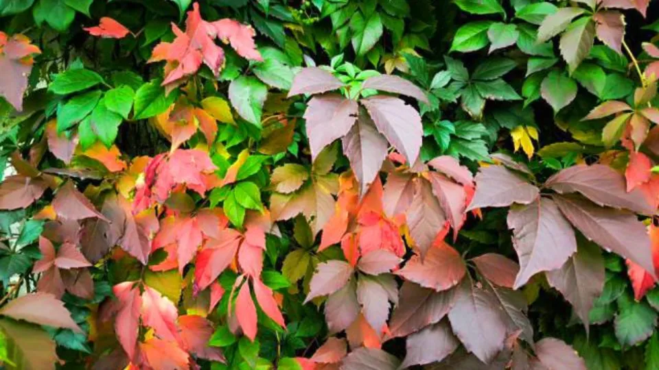 Фото: REGIONS/Роман Малышенко