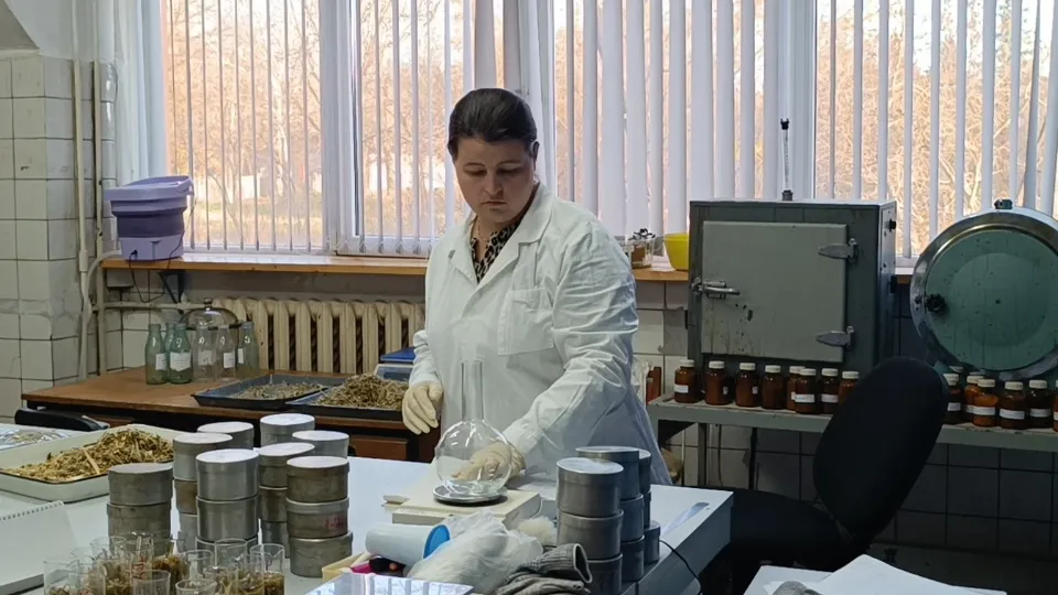 Фото: МедиаБанк Подмосковья/Екатерина Федосеева