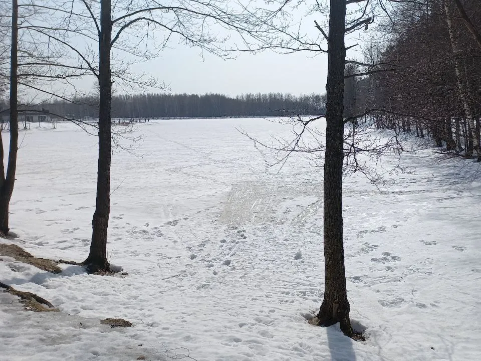 Фото: Олег Книжник/Regions.ru