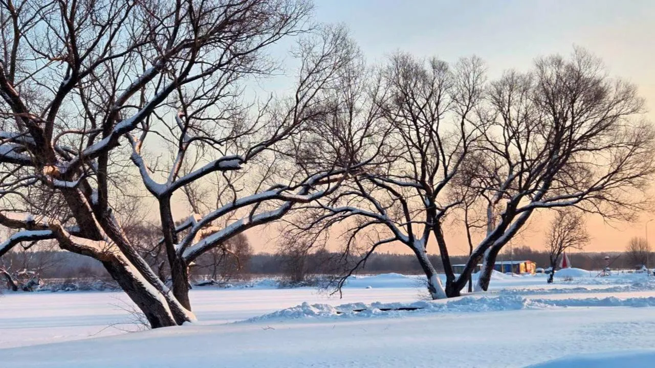 парк «Бронницкий луг»