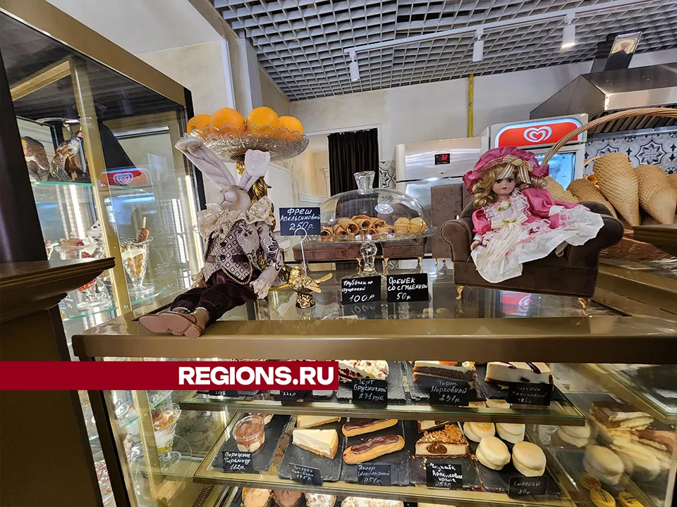 Фото: Александр Степушкин