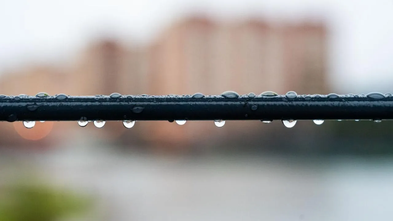 медиасток.рф