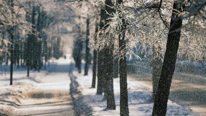 В Подмосковье в конце недели ожидаются 20-градусные морозы