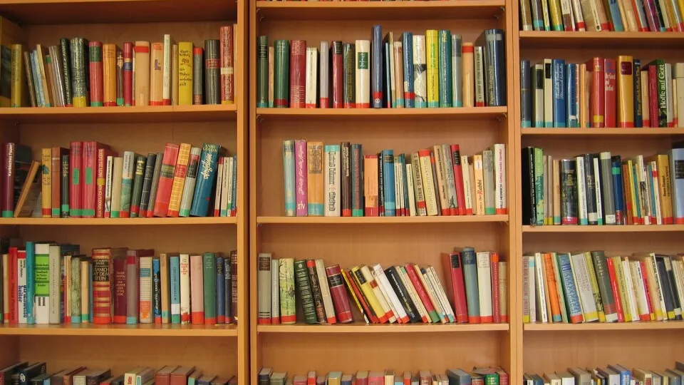 Фото: pxhere.com