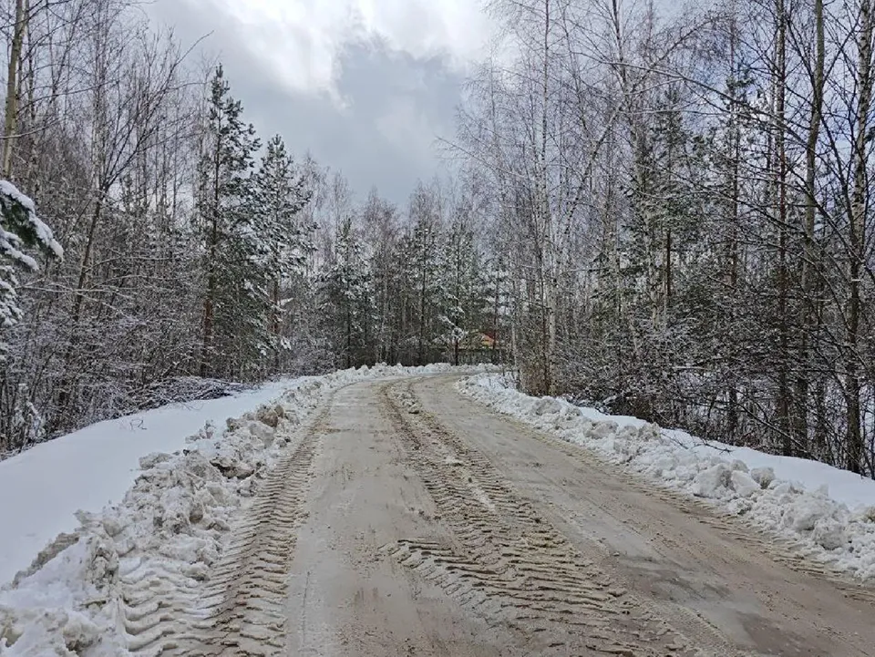 Фото: пресс-служба администрации Шатурского м.о.