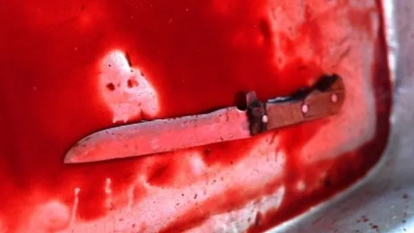 Мужчина зарезал сожительницу в Химках