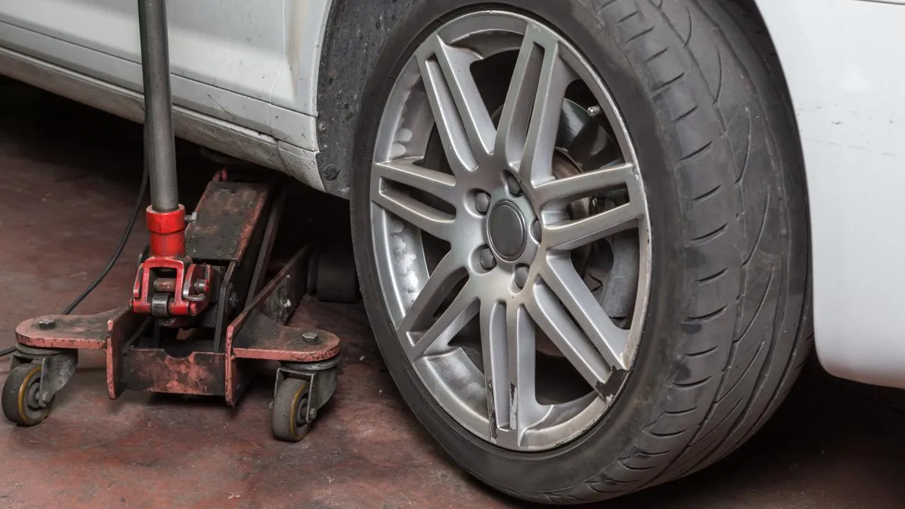 istockphoto.com/stocktributor