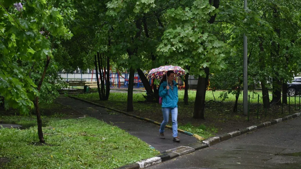 Фото: медиасток.рф