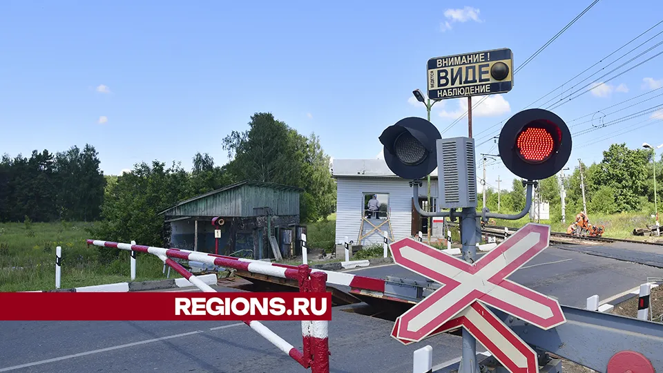 Фото: REGIONS/Наталья Бычковаа