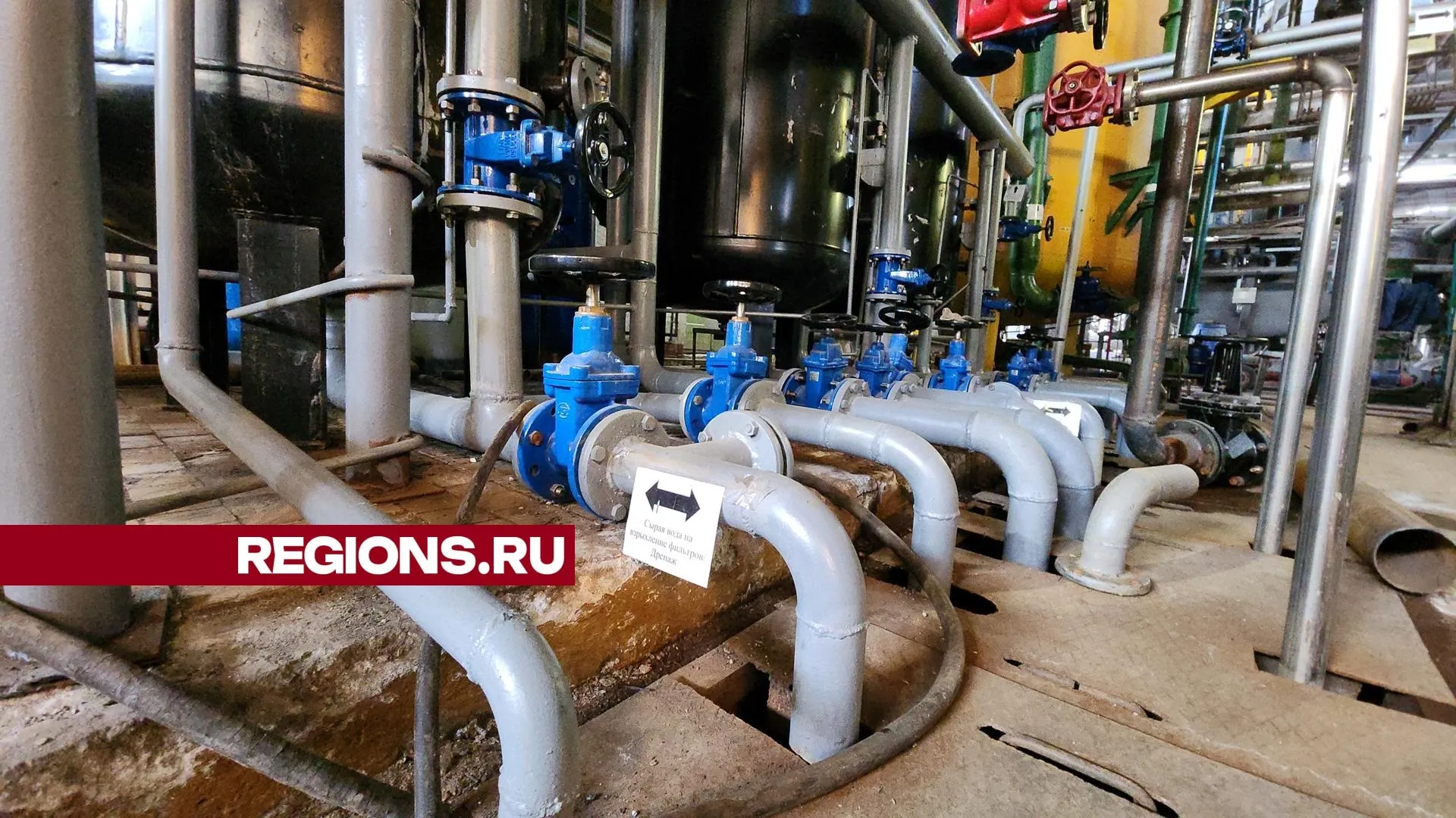 Фото: Нина Басистая