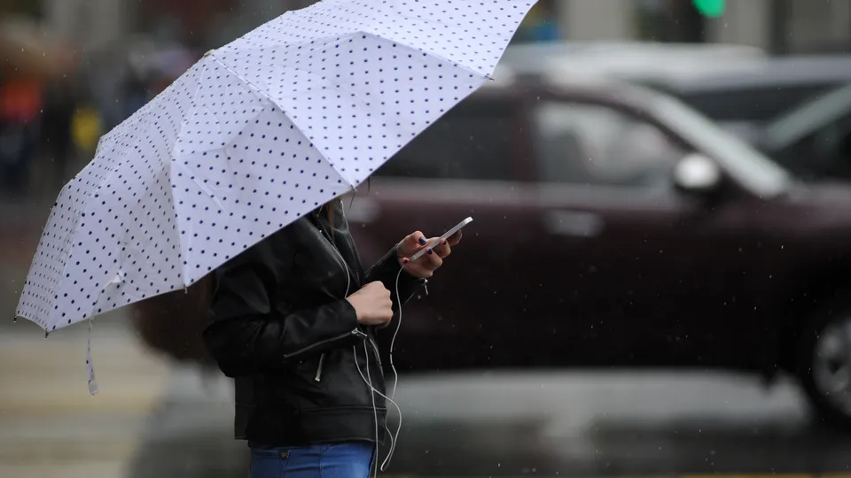 Фото: медиасток.рф