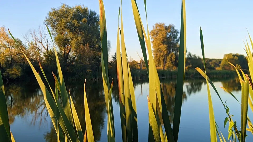 Фото: REGIONS/Алексей Селиверстов