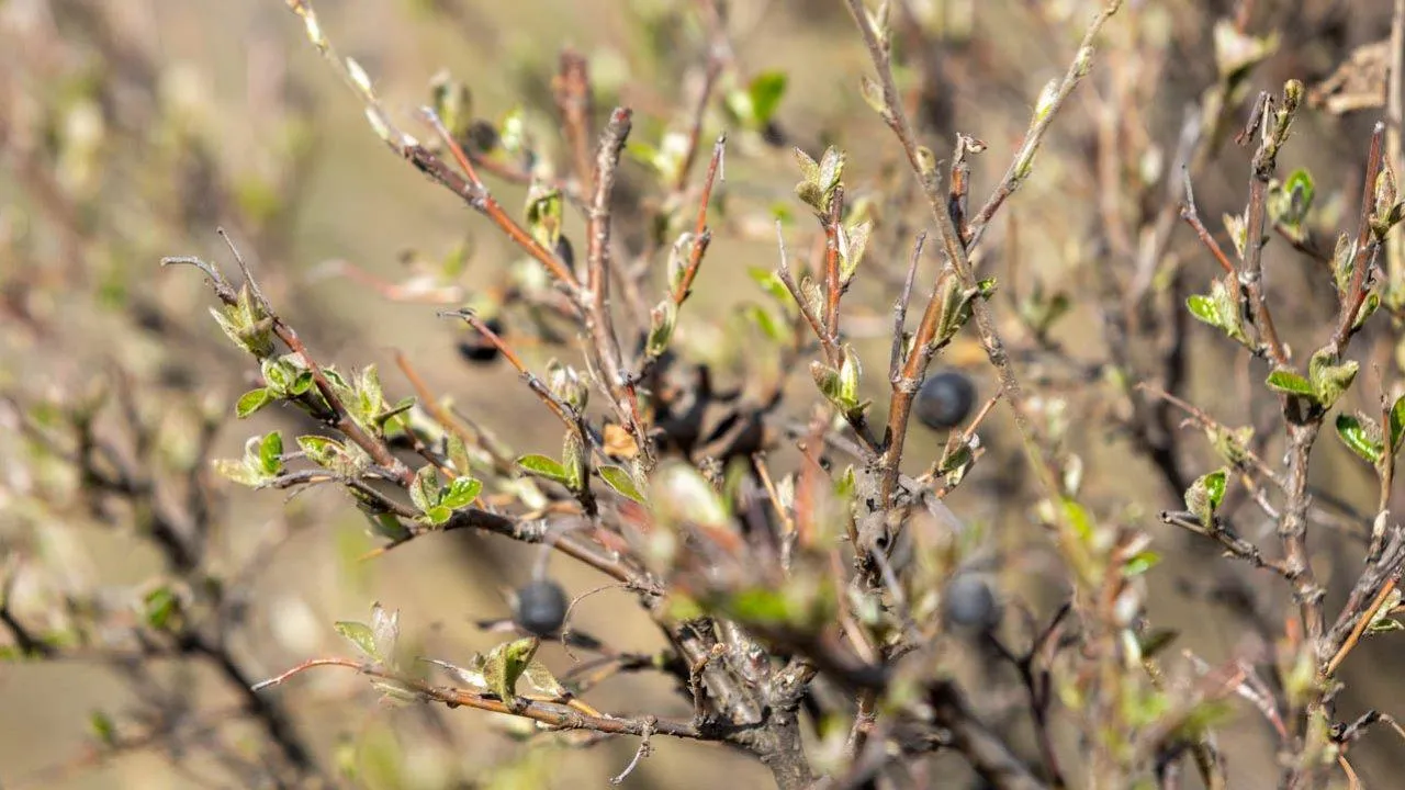 REGIONS/Роман Малышенко