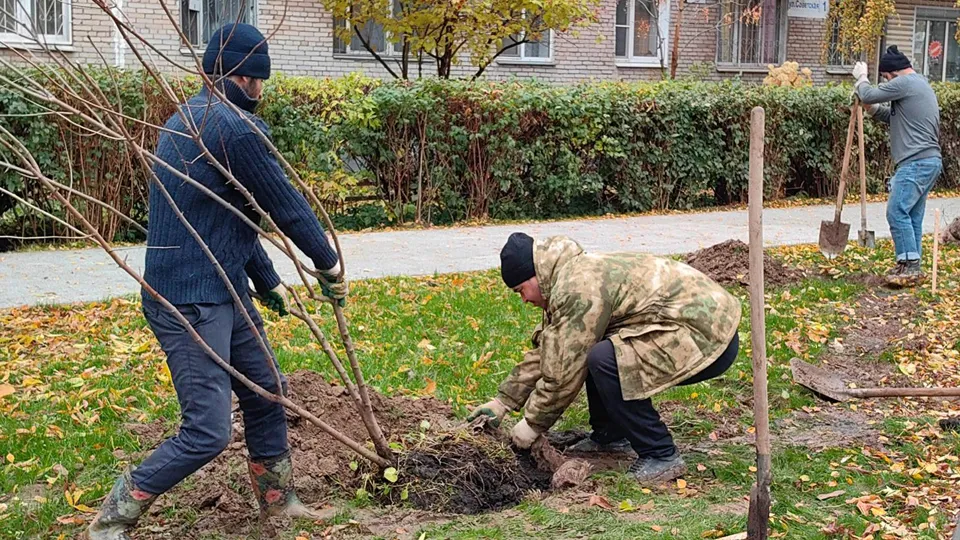 Фото: REGIONS/Елена Катасонова