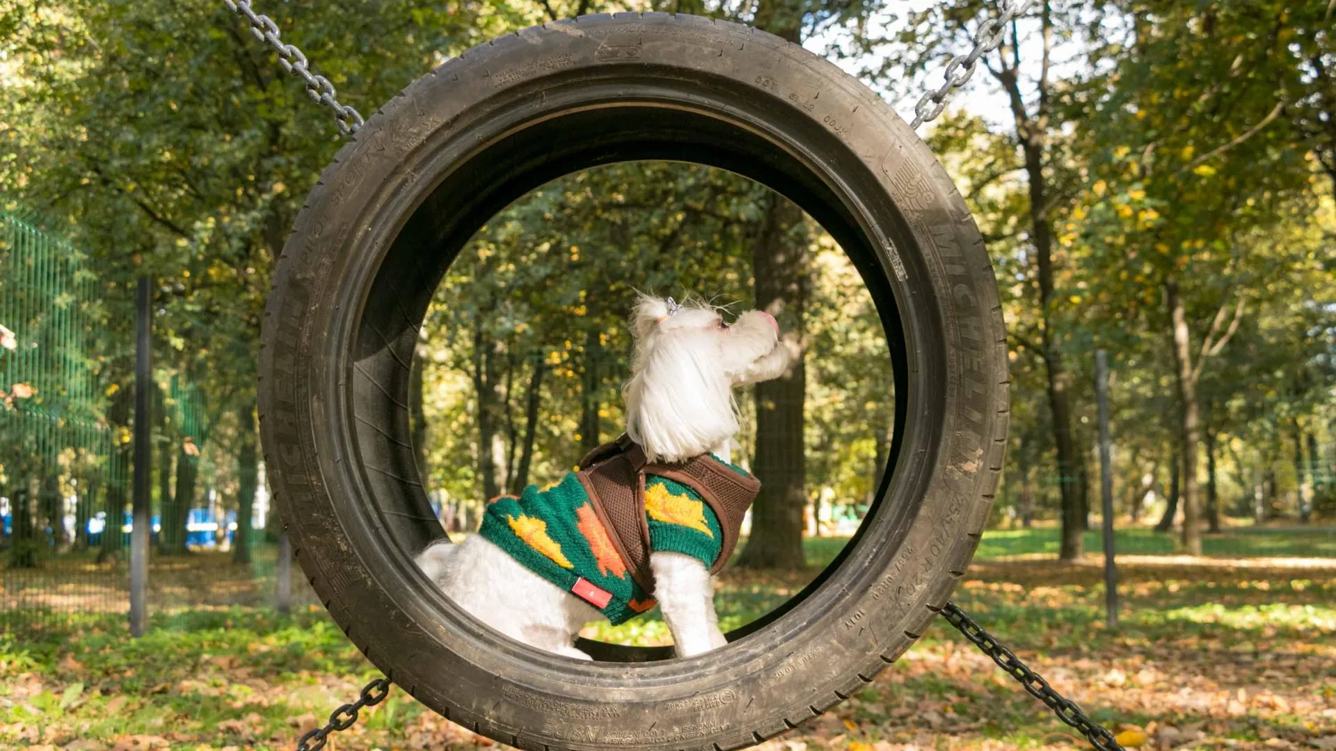 Фото: Парки Домодедова
