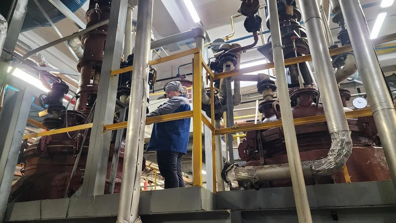 МедиаБанк Подмосковья/Валерия Исаева