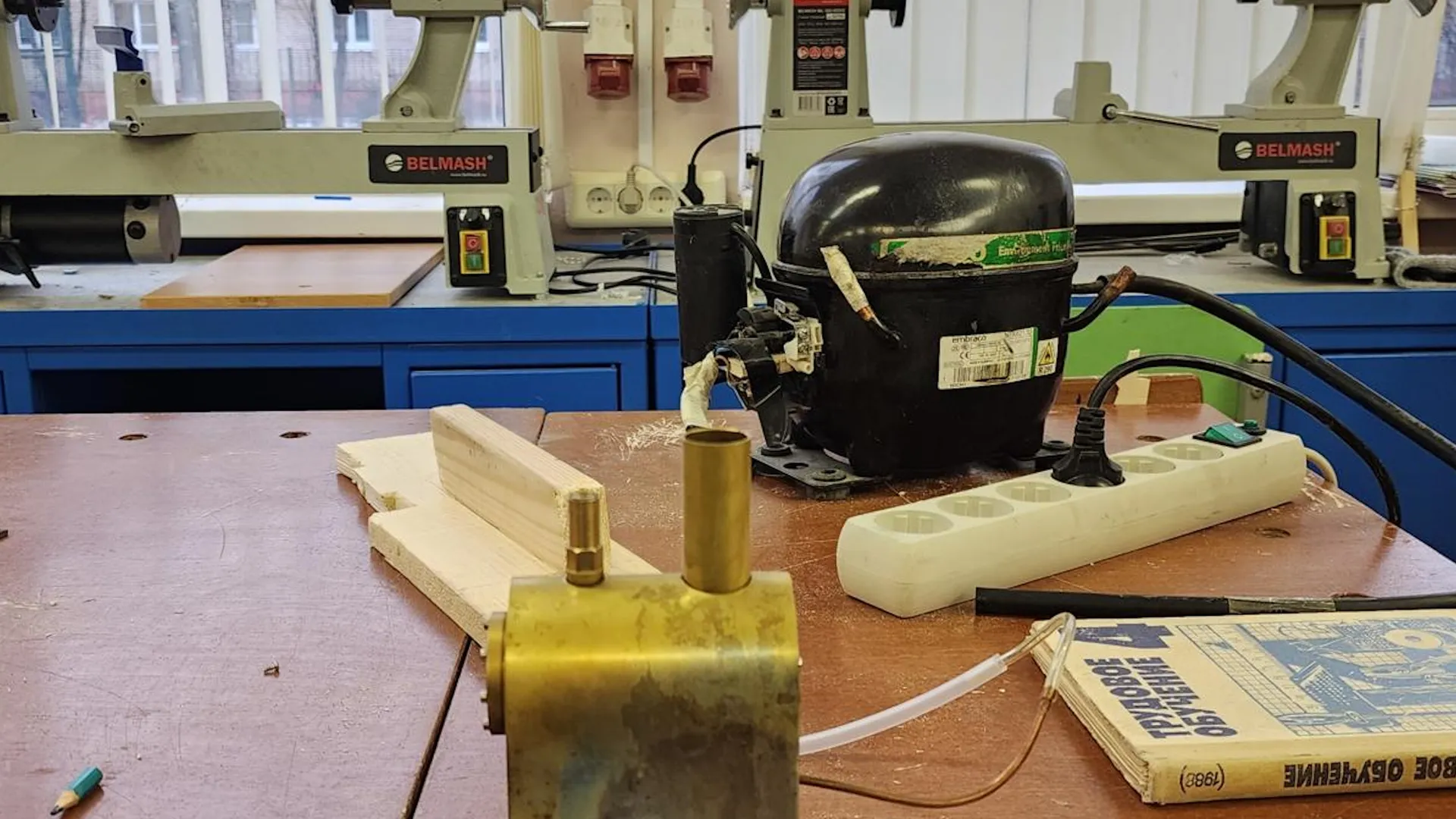 Фото: Хавива Фонина