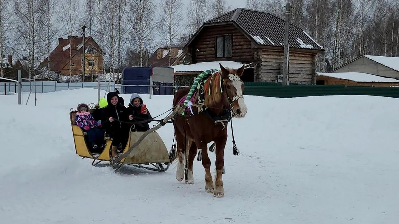 МедиаБанк Подмосковья/Анна Шолохова