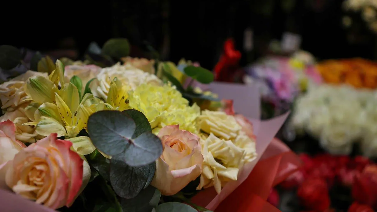 REGIONS/Роман Малышенко