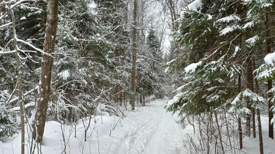 Фото: REGIONS/Олег Книжник