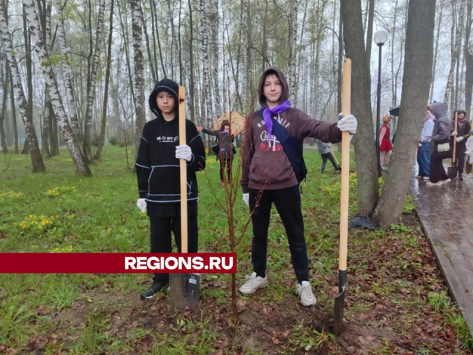 Фото: Ольга Шеметова