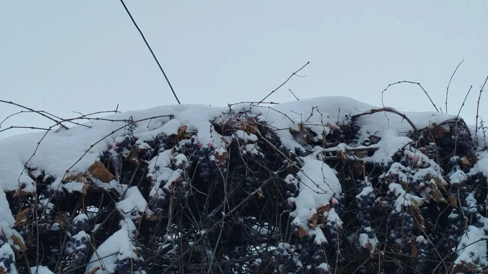 Фото: REGIONS/Юлия Куделькина