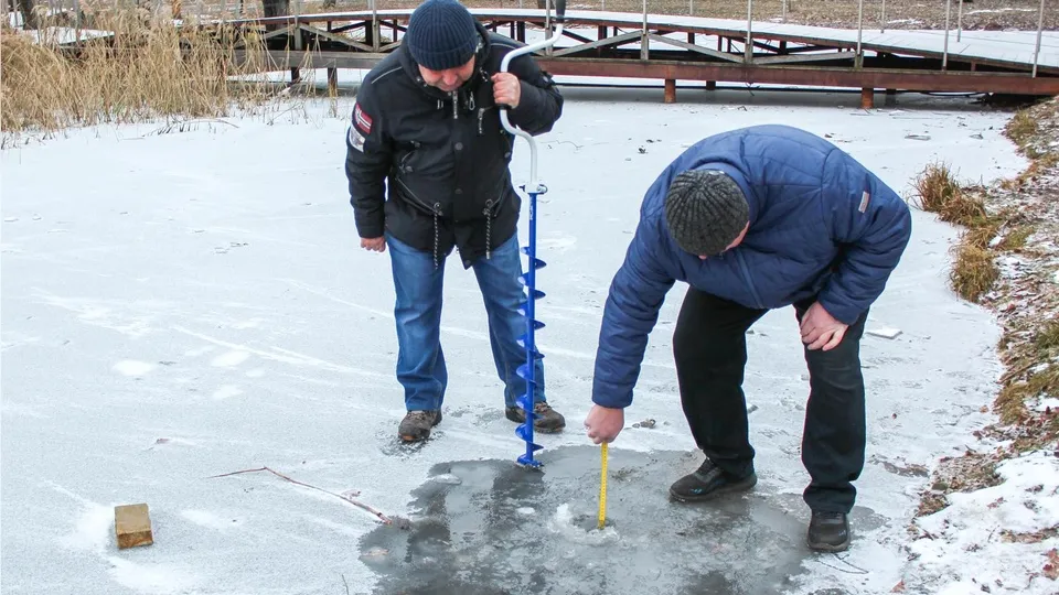 Фото: администрация г.о. Реутов