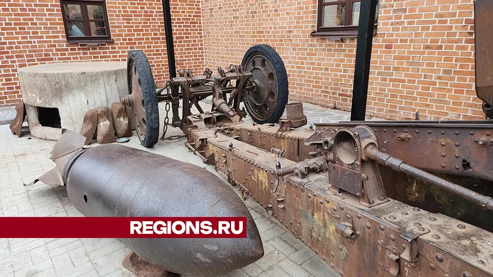 Фото: REGIONS/Александр Степушкин