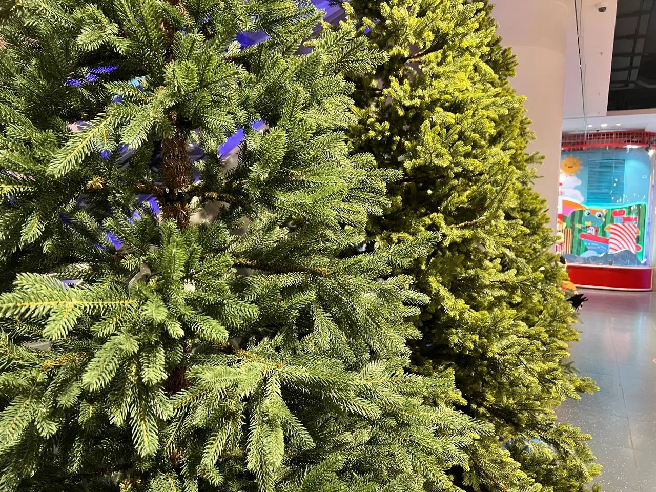 Фото: REGIONS/Елена Фурман