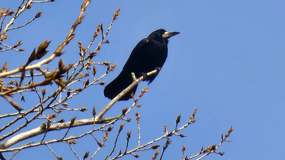 Фото: МедиаБанк Подмосковья/Мария Панина