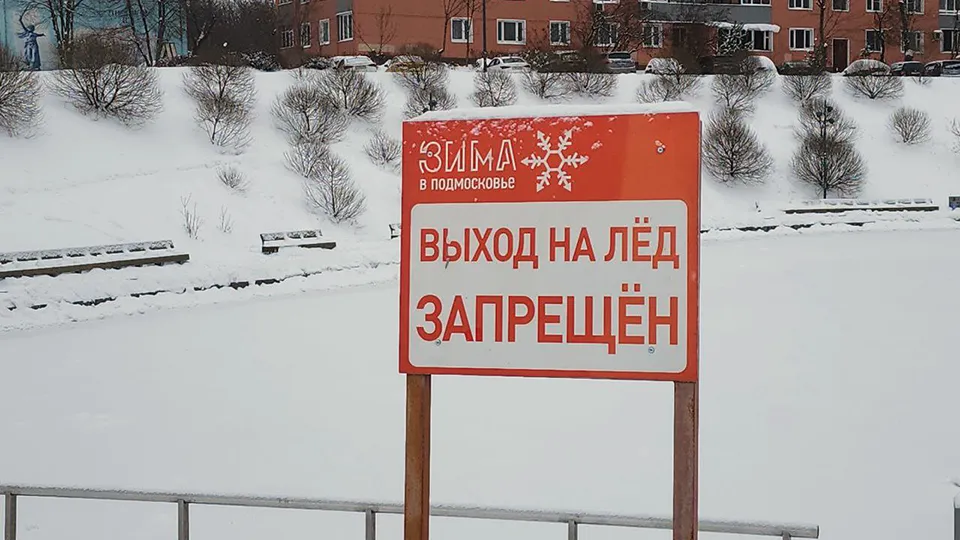 Фото: МедиаБанк Подмосковья/Мария Амелина