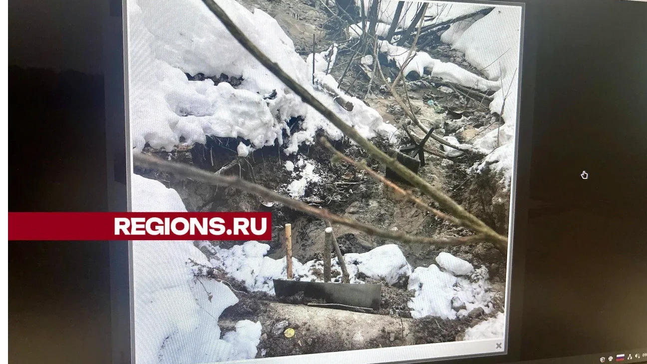 Фото: Олег Нечаев