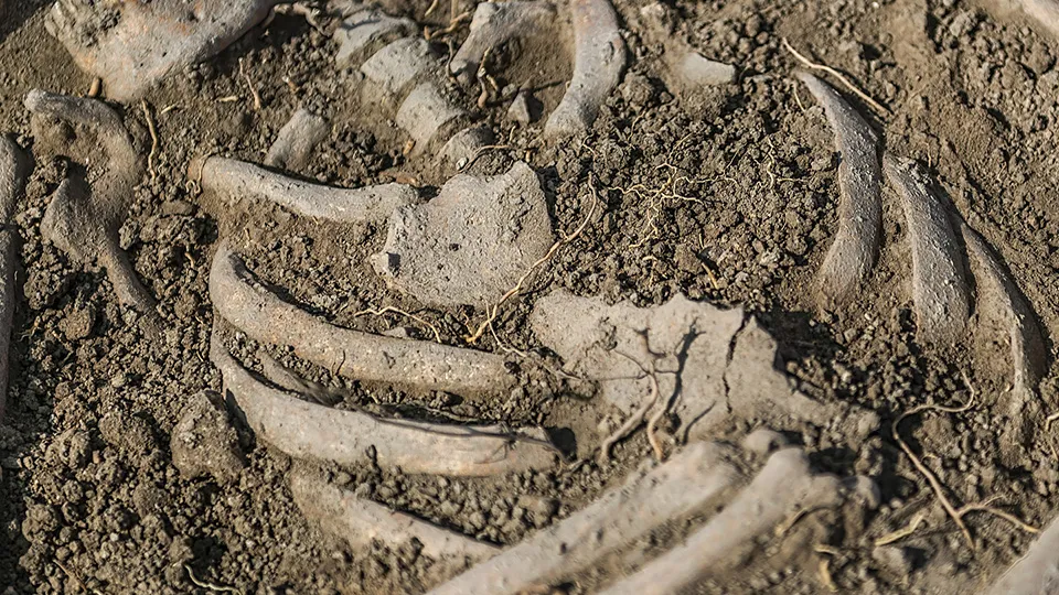 Фото: istockphoto.com