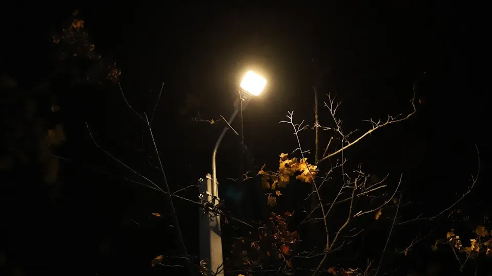 Фото: Министерство благоустройства Московской области