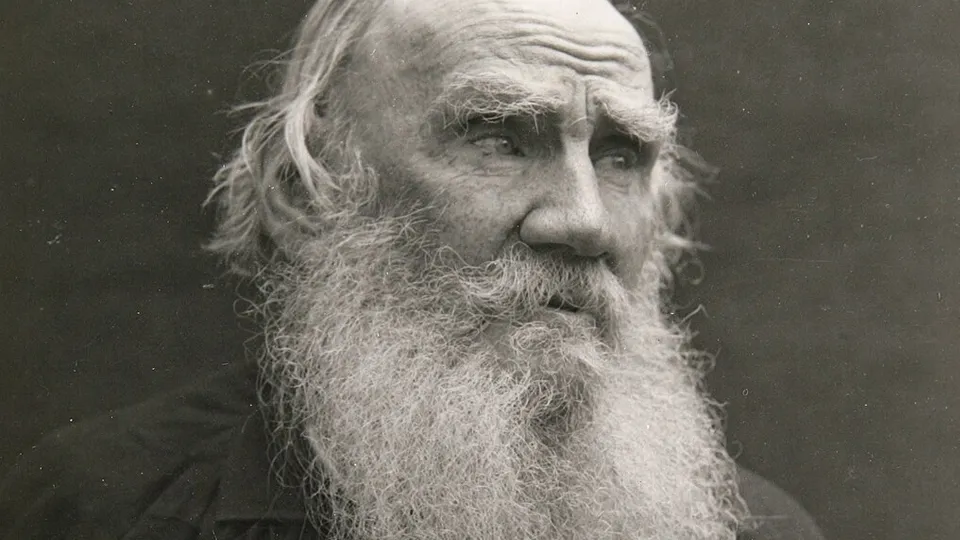 Фото: сommons.wikimedia/Vladimir Chertkov