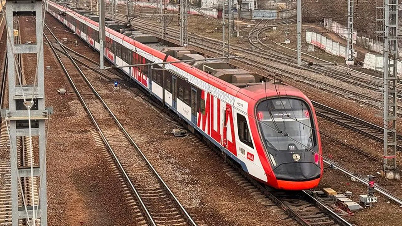 МедиаБанк Подмосковья/Мария Шматкова