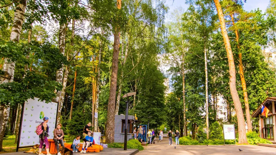 Фото: Министерство благоустройства Московской области