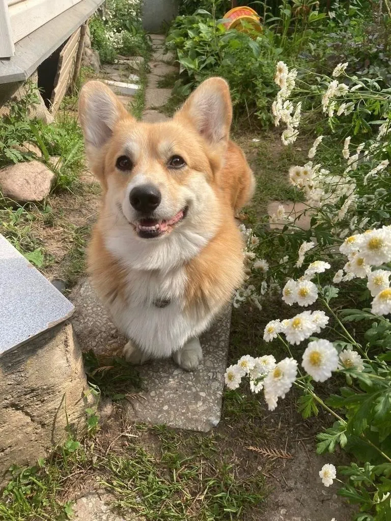 Фото: Подслушано на Глебовке (новая) / ВКонтакте