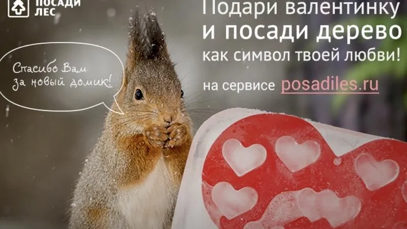 «Укорени свою любовь»: жители Подмосковья смогут подарить любимым дерево