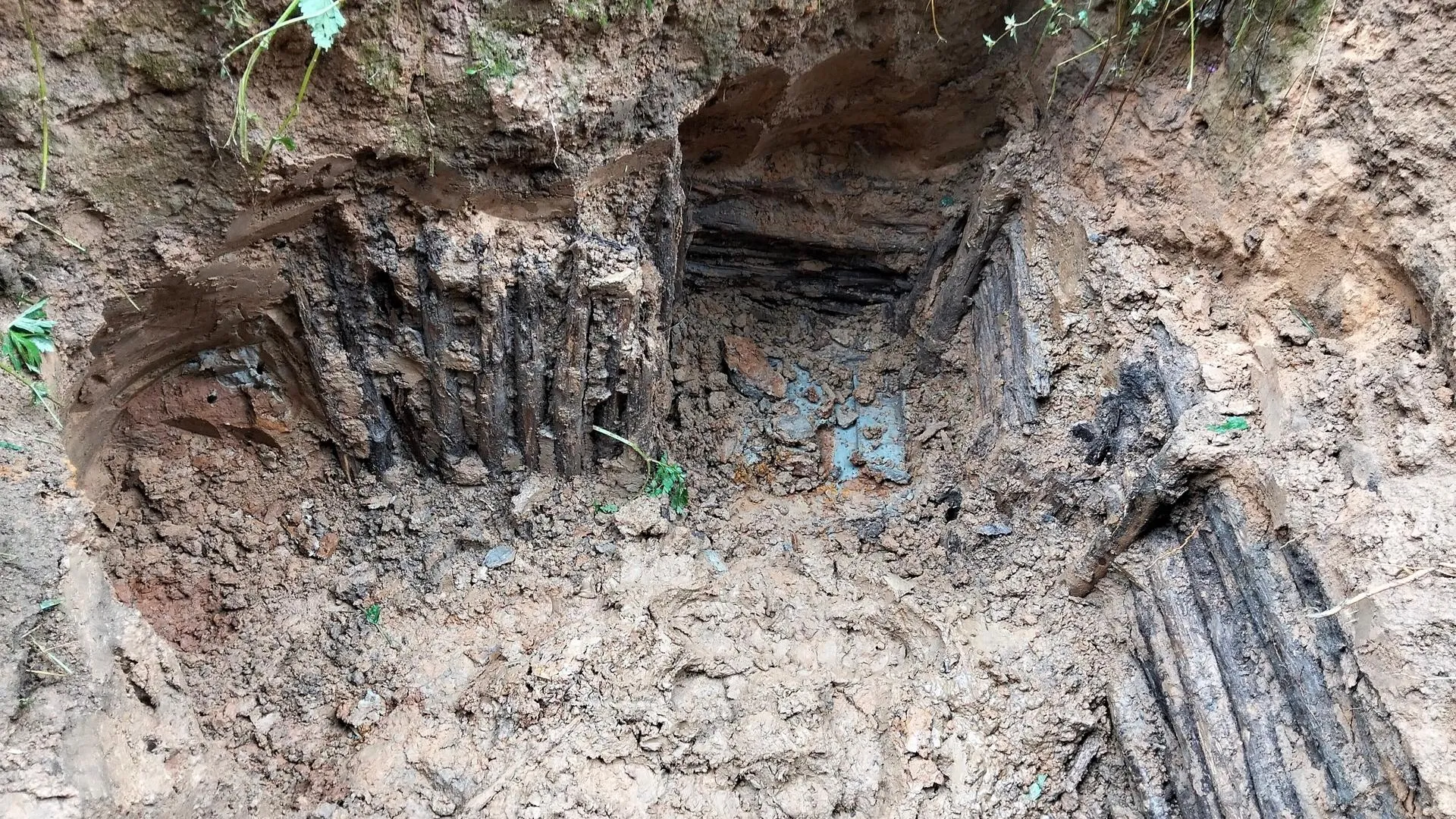 Егор Черналов